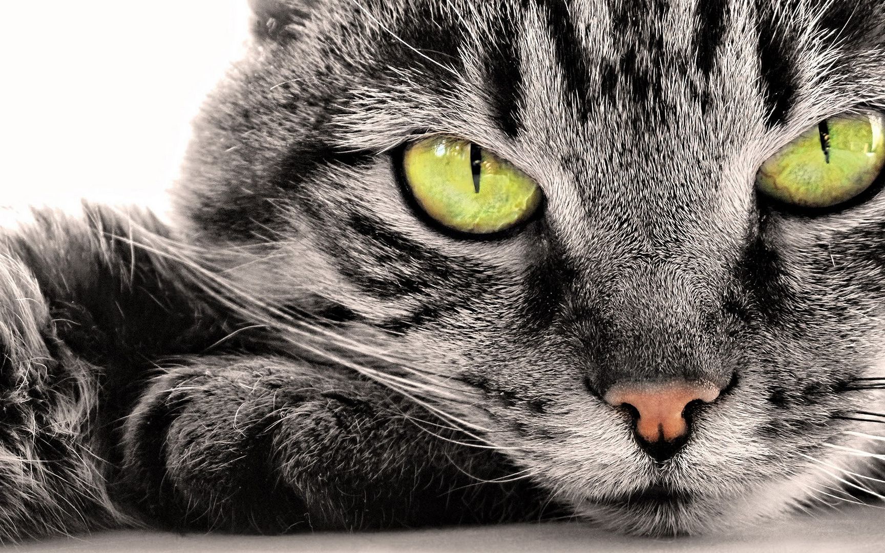 HDPackSuperiorWallpapers531_130.jpg