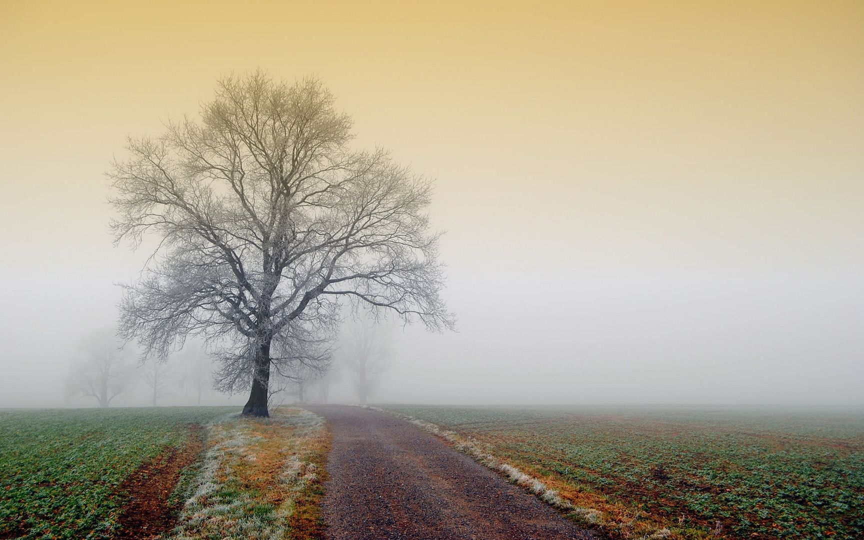 HDPackSuperiorWallpapers531_142.jpg