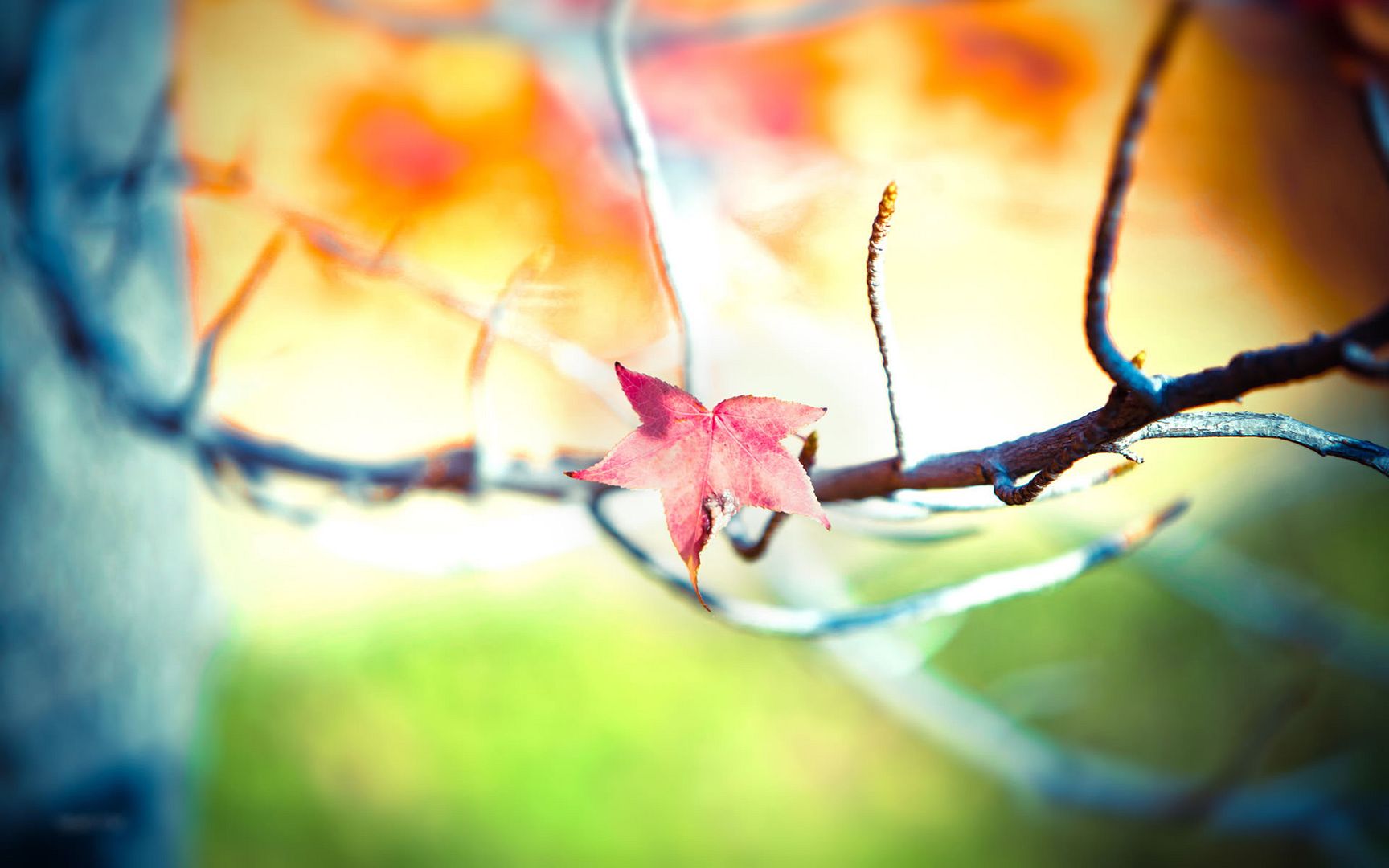 HDPackSuperiorWallpapers531_143.jpg