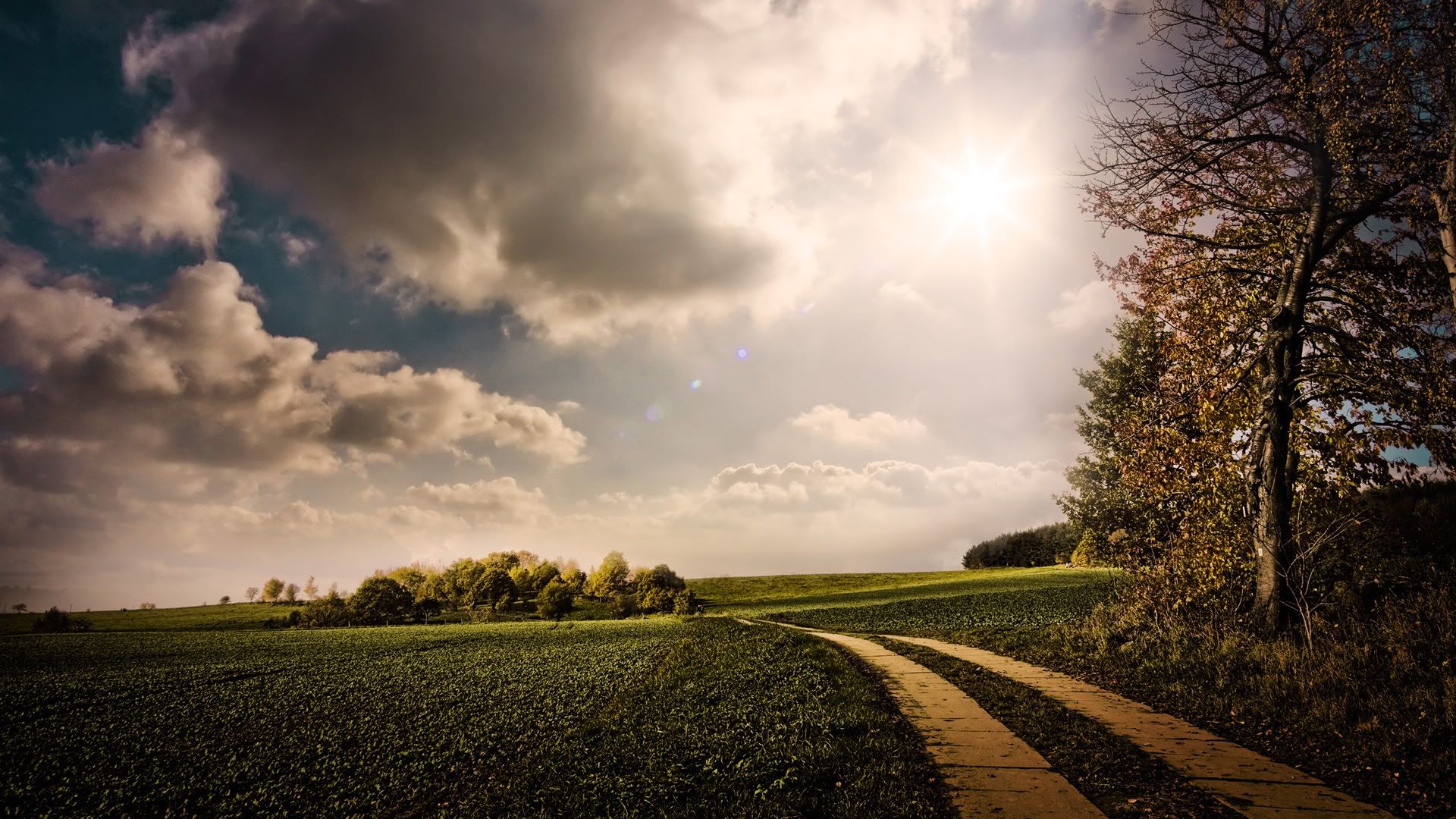 HDPackSuperiorWallpapers531_217.jpg