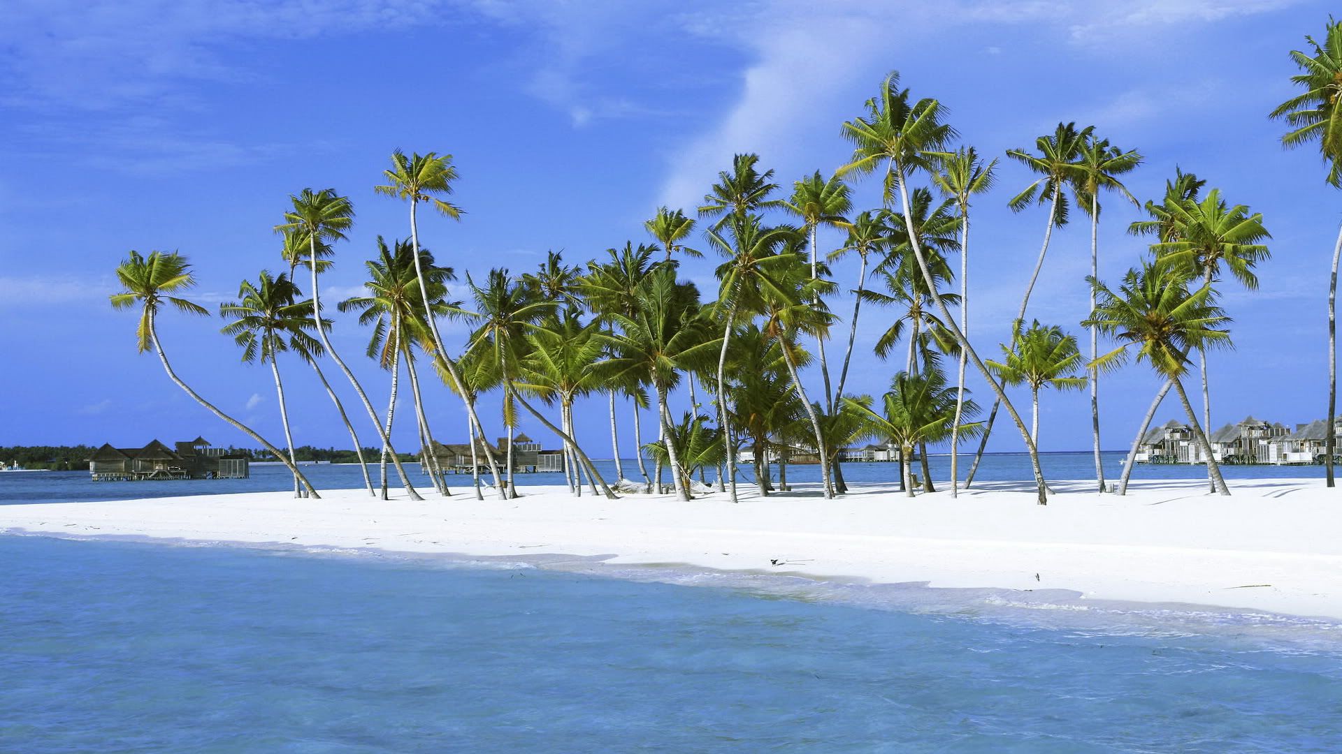HDPackSuperiorWallpapers531_229.jpg