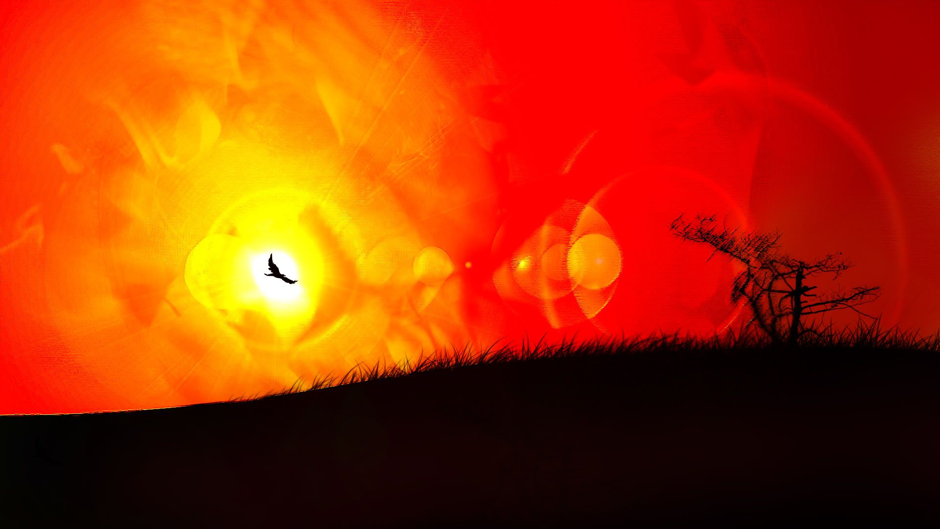 HDPackSuperiorWallpapers531_234.jpg