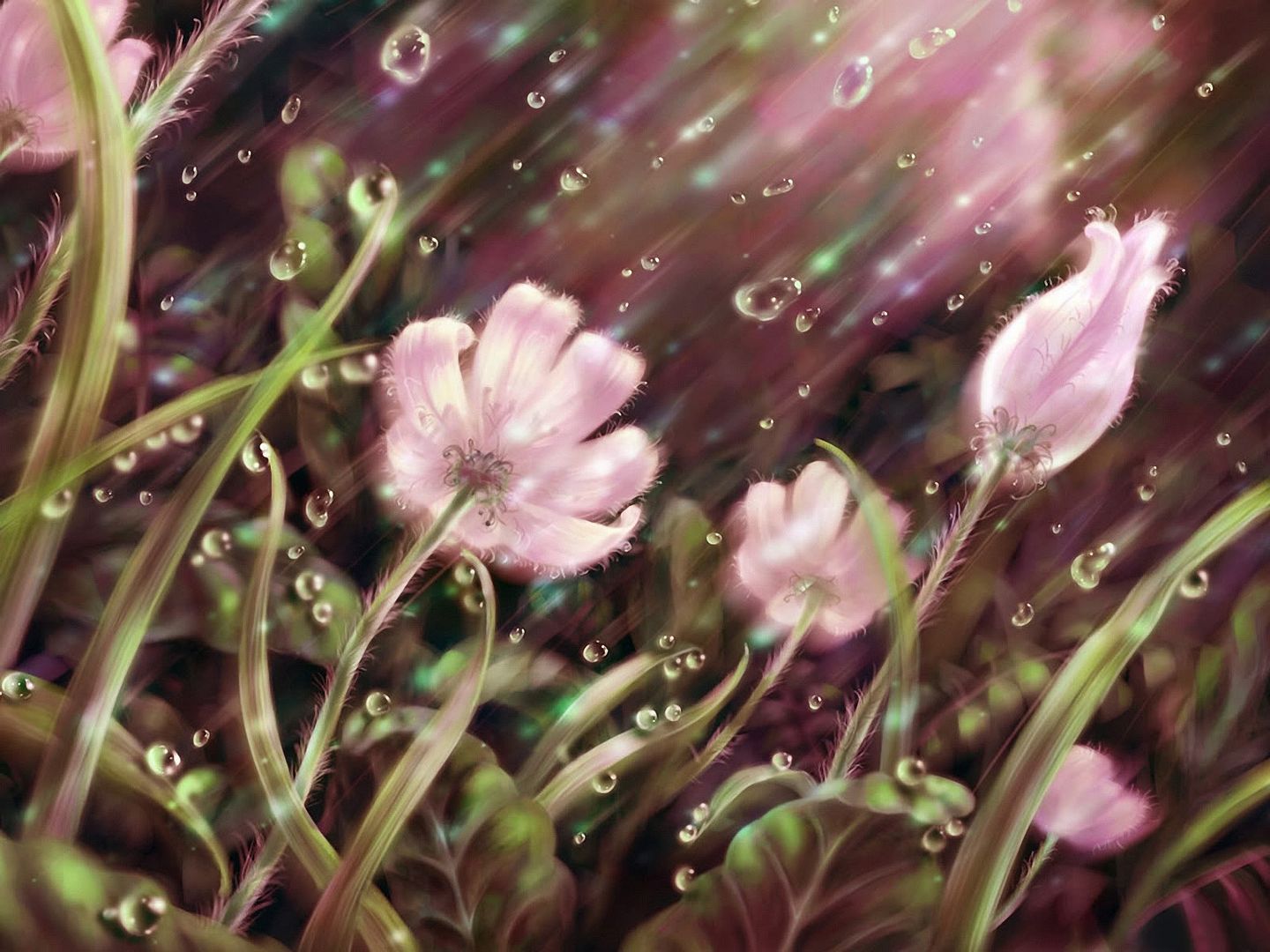HDPackSuperiorWallpapers531_243.jpg