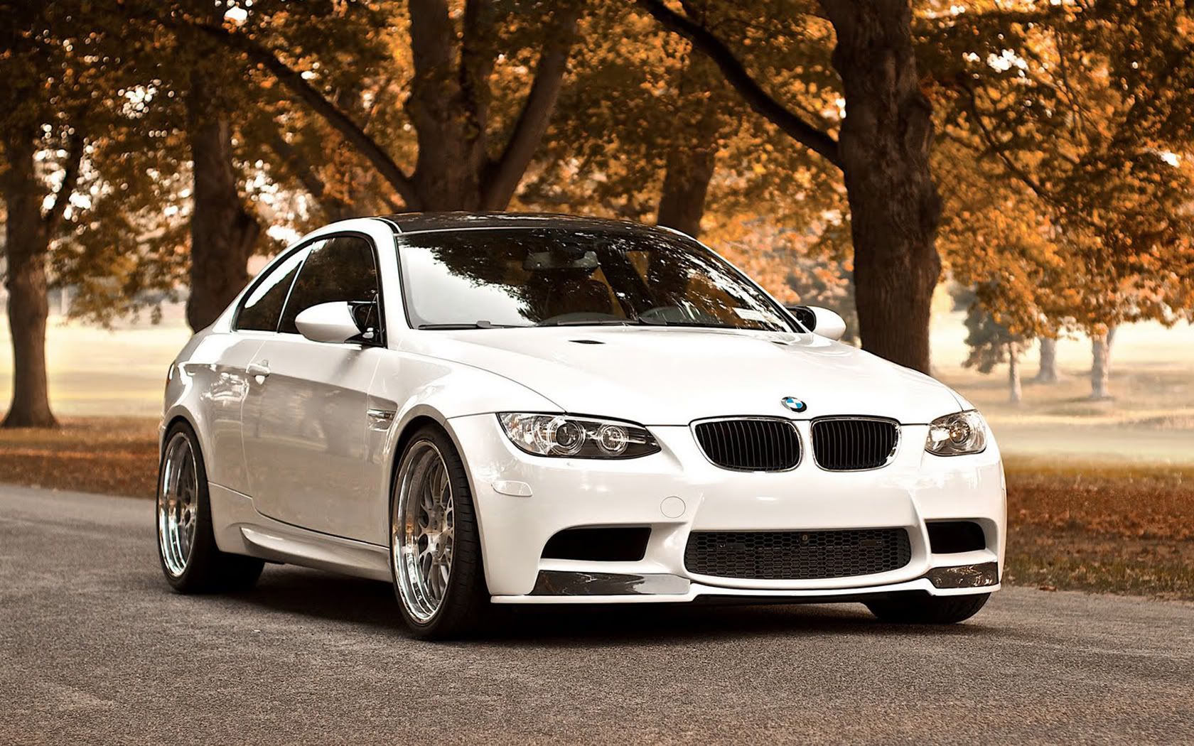 HDPackSuperiorWallpapers531_248.jpg