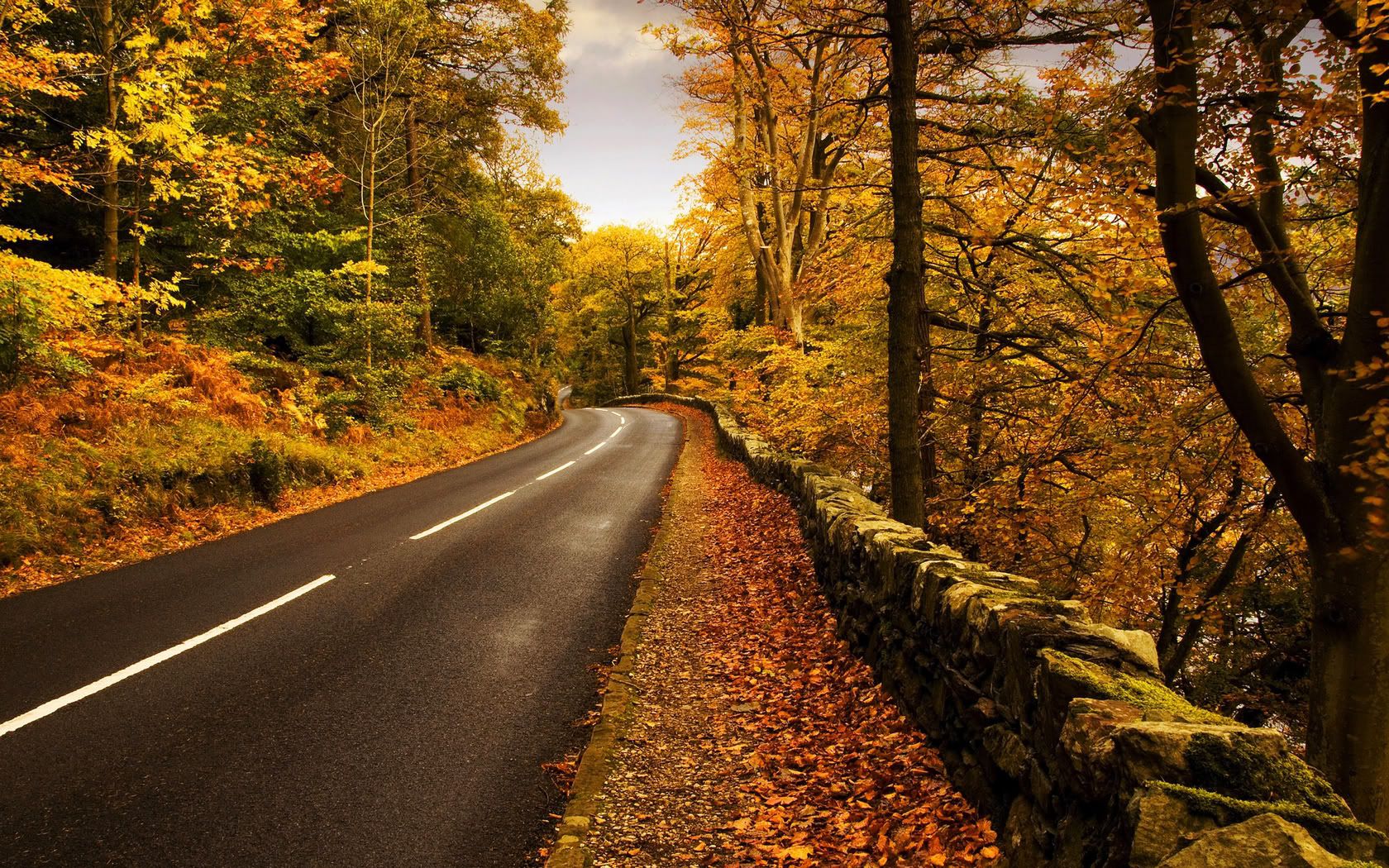 HDPackSuperiorWallpapers531_253.jpg