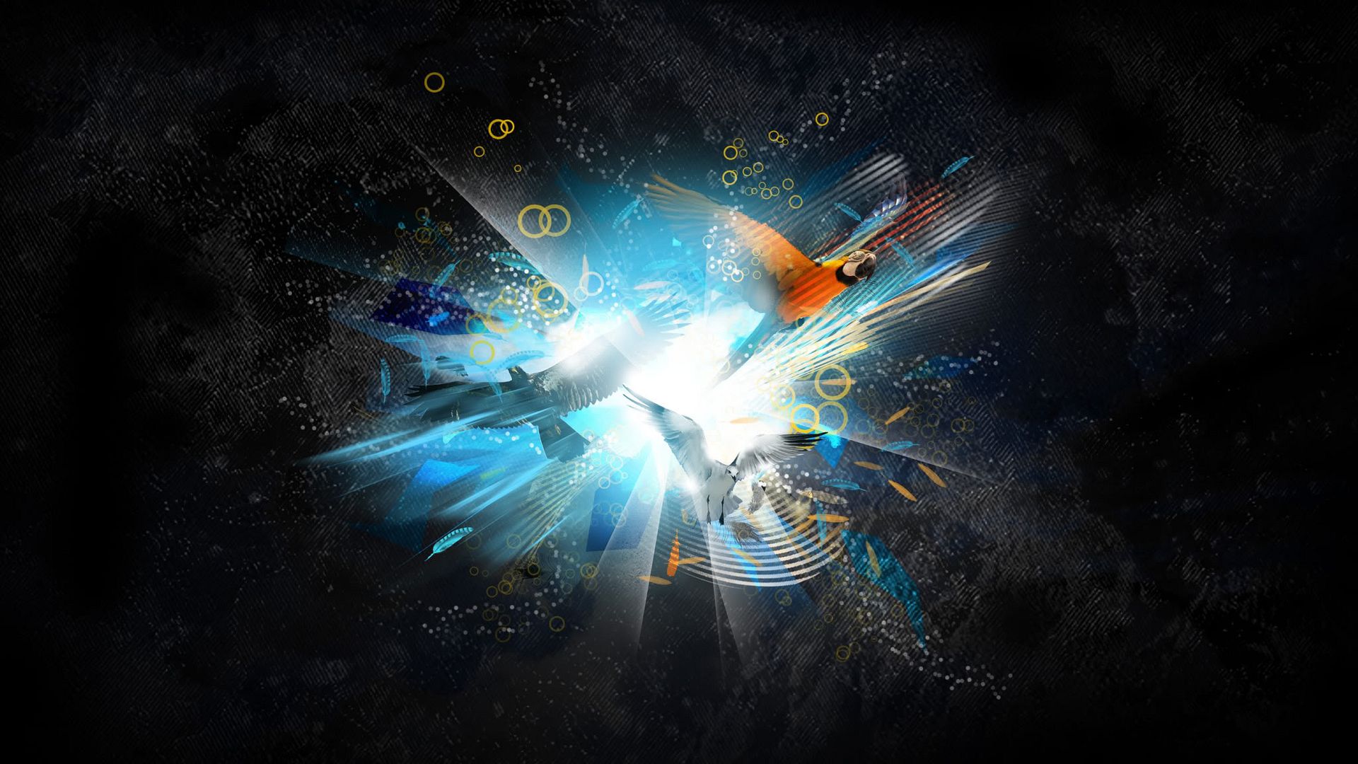 HDPackSuperiorWallpapers532_051.jpg