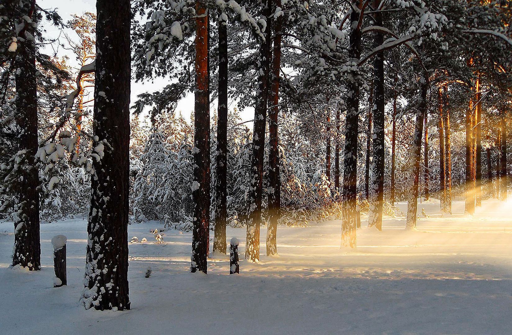 HDPackSuperiorWallpapers532_060.jpg