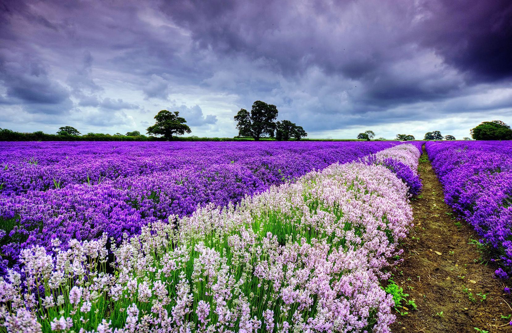 HDPackSuperiorWallpapers532_066.jpg