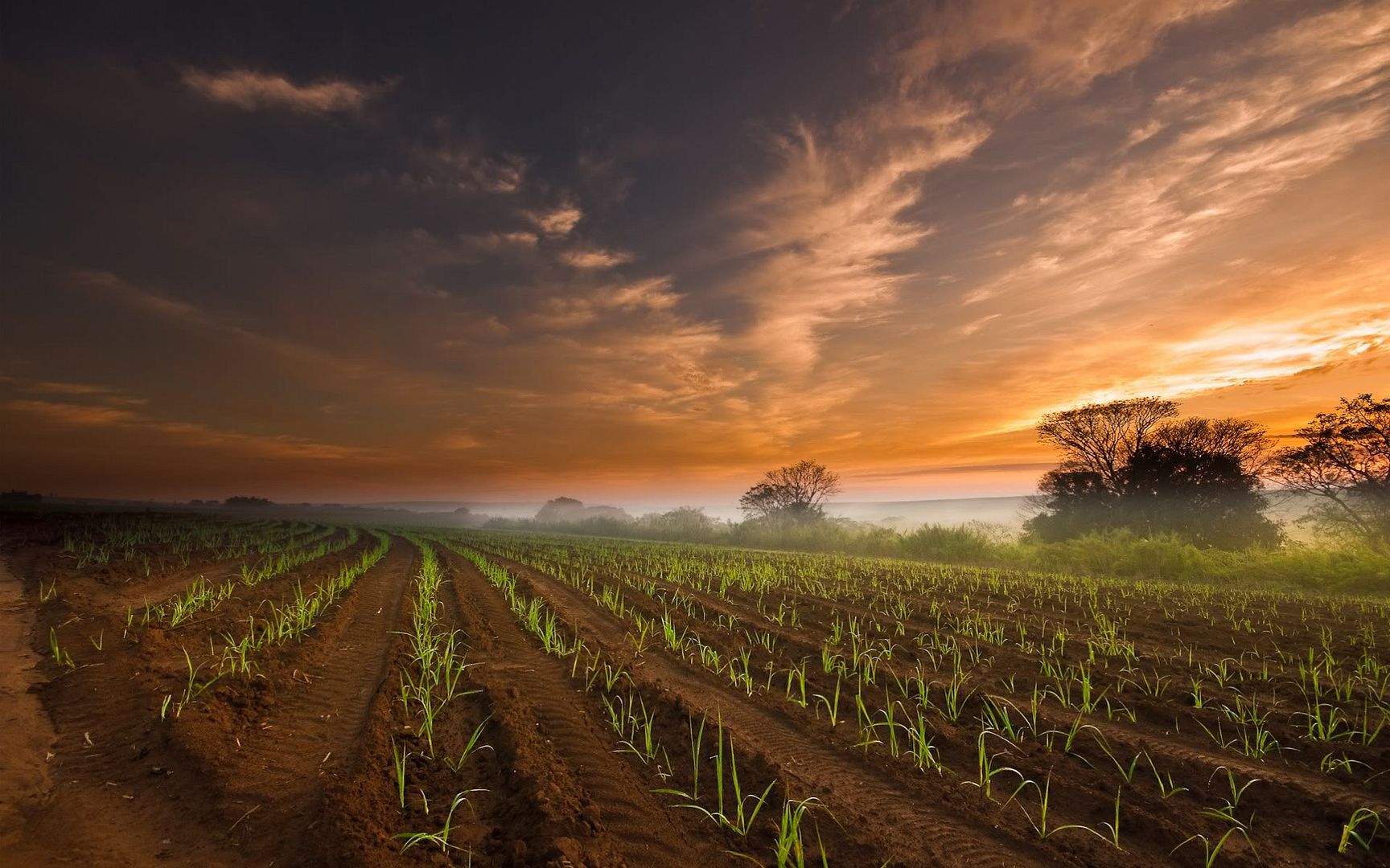 HDPackSuperiorWallpapers532_085.jpg