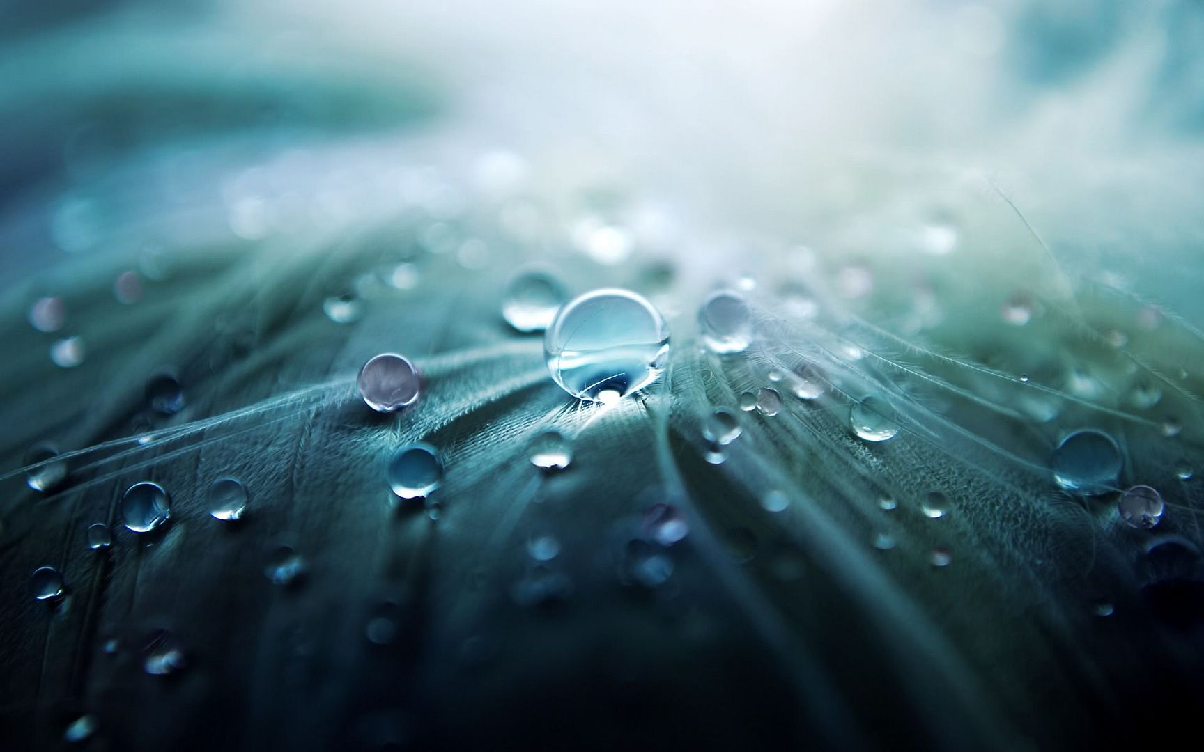 HDPackSuperiorWallpapers532_099.jpg