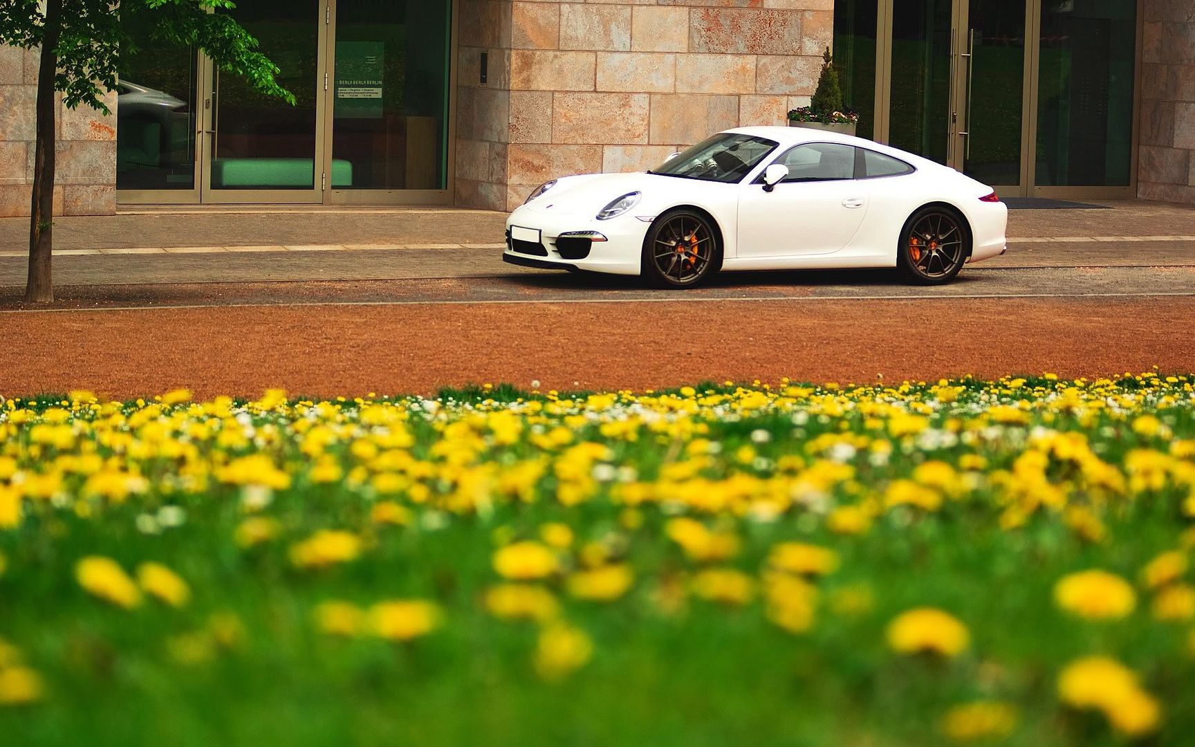 HDPackSuperiorWallpapers532_151.jpg
