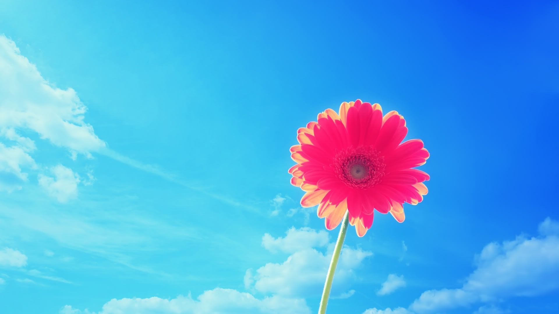 HDPackSuperiorWallpapers532_161.jpg