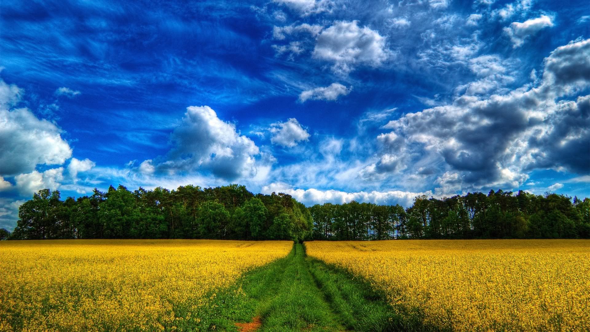 HDPackSuperiorWallpapers532_218.jpg