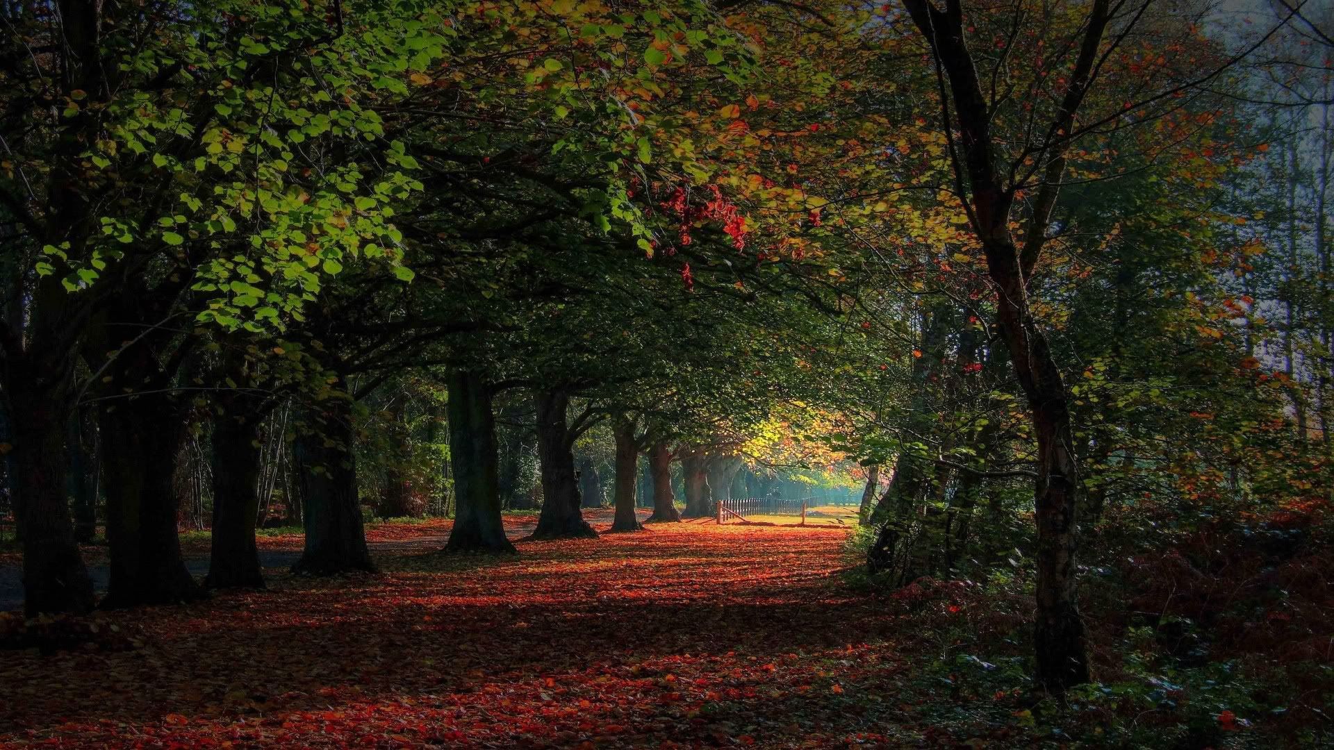 HDPackSuperiorWallpapers532_220.jpg