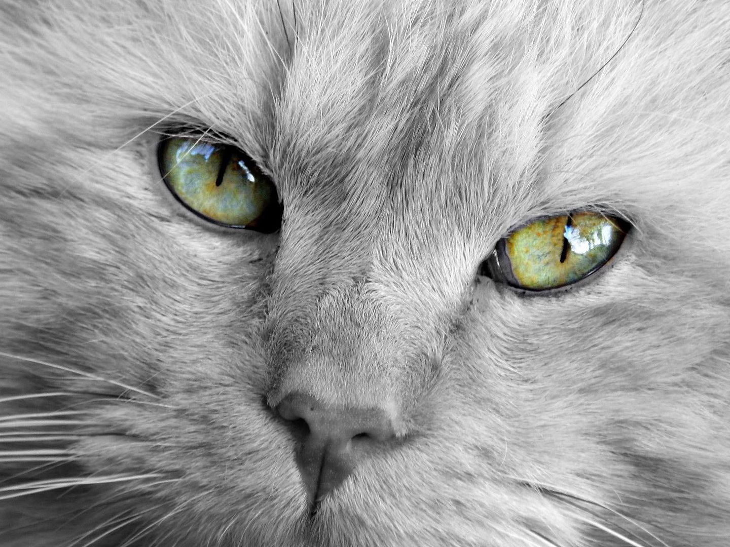 HDPackSuperiorWallpapers532_237.jpg