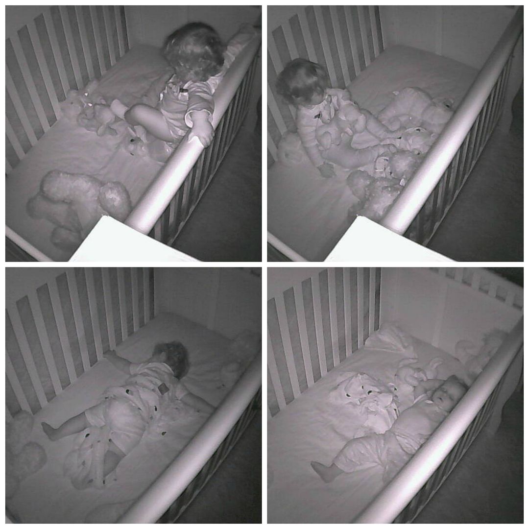 Foscam Video Baby Monitor