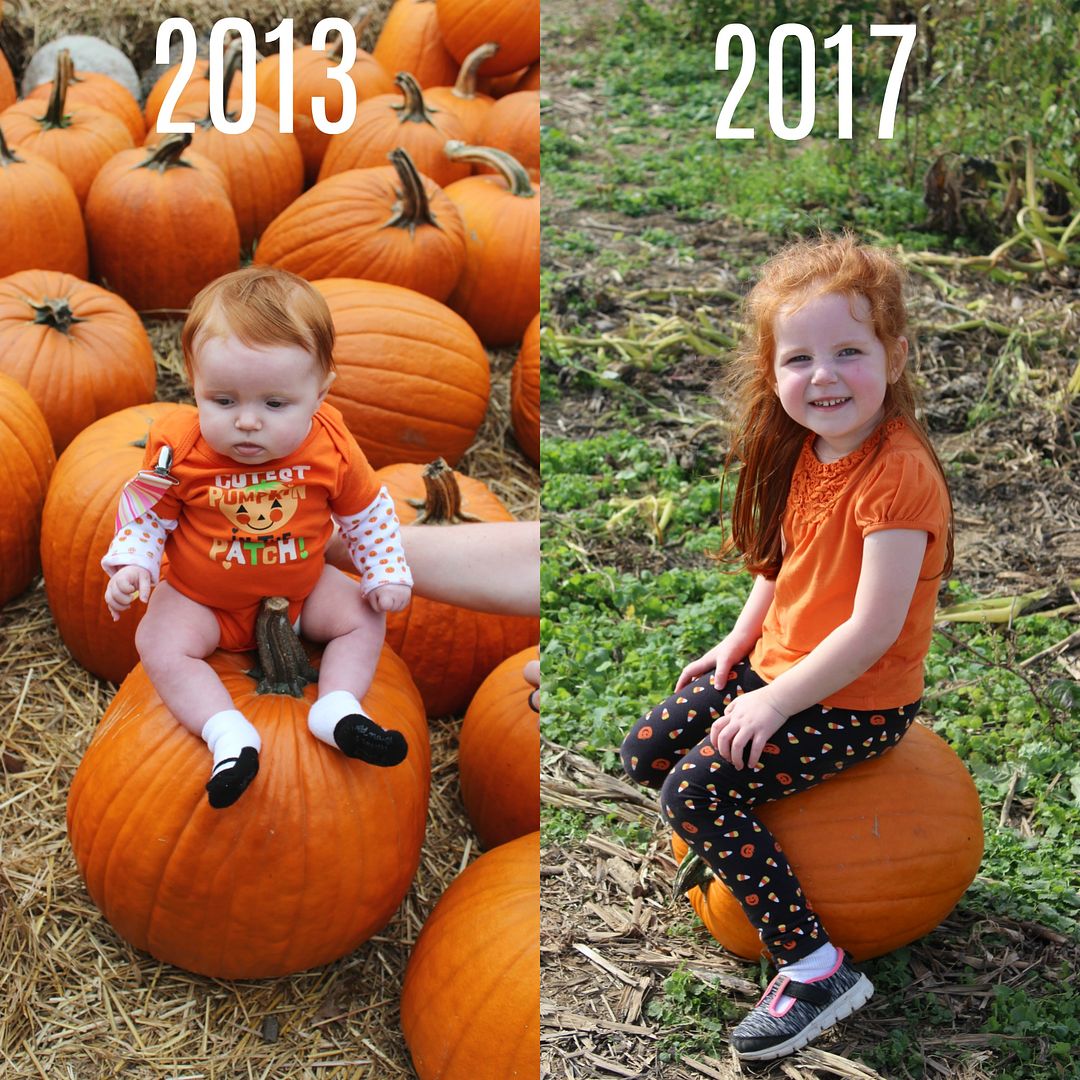 Pumpkin Patch Through The Years