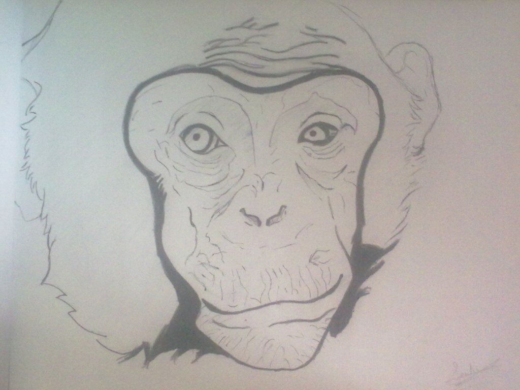 Todos Mis Dibujos ( hasta la fecha) Todos Mis Dibujos ( hasta la fecha)