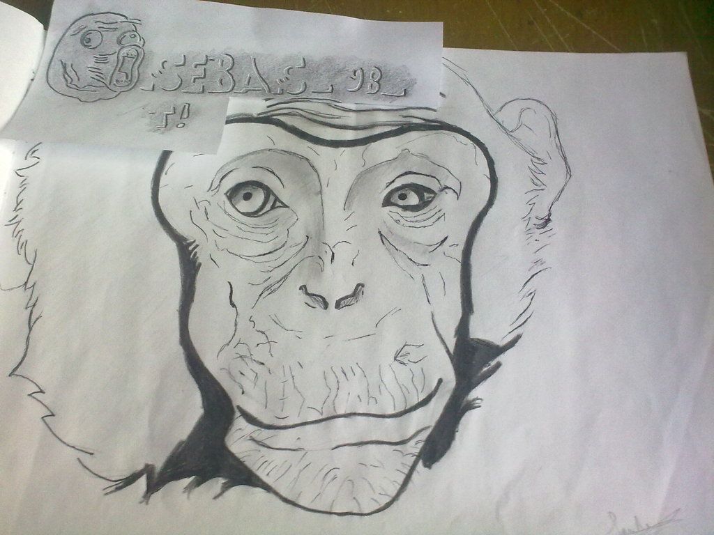 arte arte