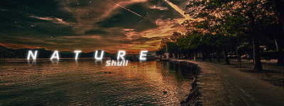 shull-1.png