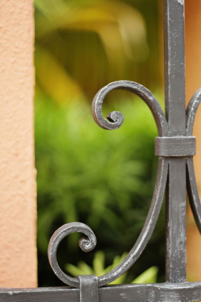 IMAGE: http://i1071.photobucket.com/albums/u520/7D_Sniper/USA%20Nifty%20Fifty/WroughtIron.jpg