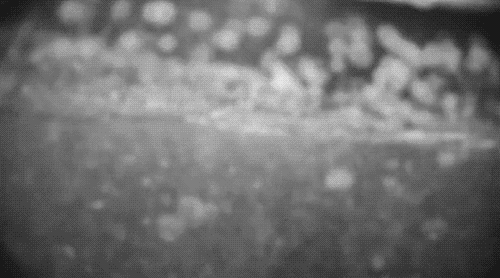 photo tumblr_m6pbgcQJlF1roq4e2o1_500_zpse8e29dbb.gif