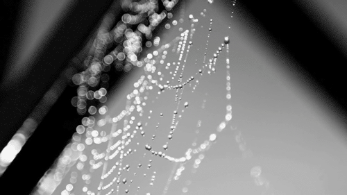photo tumblr_mhzollcC4V1qffcrao2_500_zps92761d2b.gif