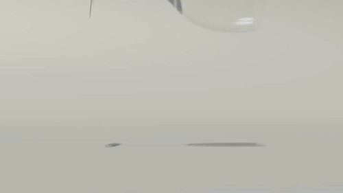 photo tumblr_lhvtn8Vtgd1qcecwvo1_500.gif