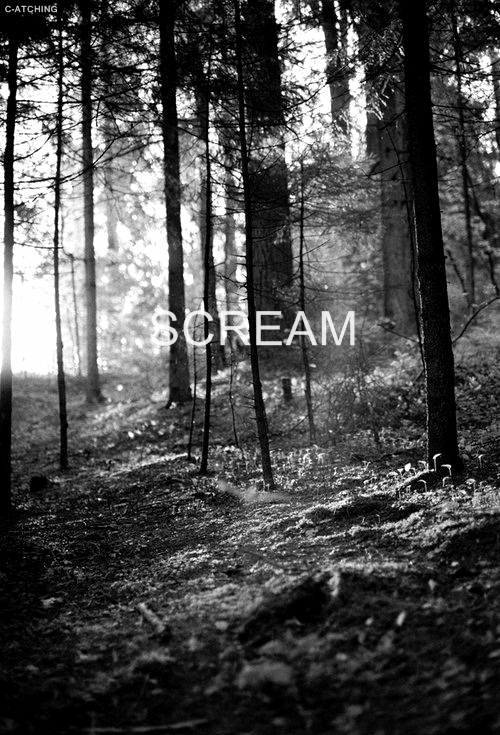 photo tumblr_merxpuTkpA1rf4nrho1_500_zps8e2e7f8f.gif