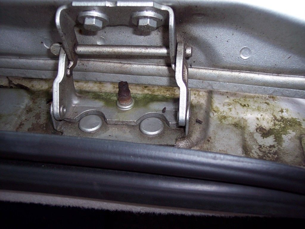 100_5463.jpg