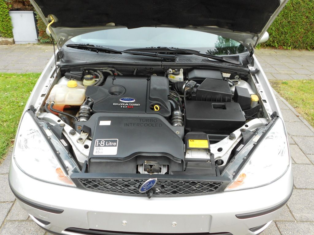 DSCN0780.jpg