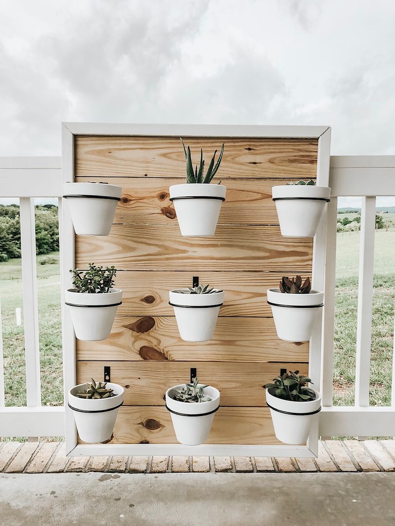 DIY Succulent Wall planter