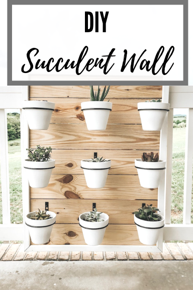DIY Succulent Wall
