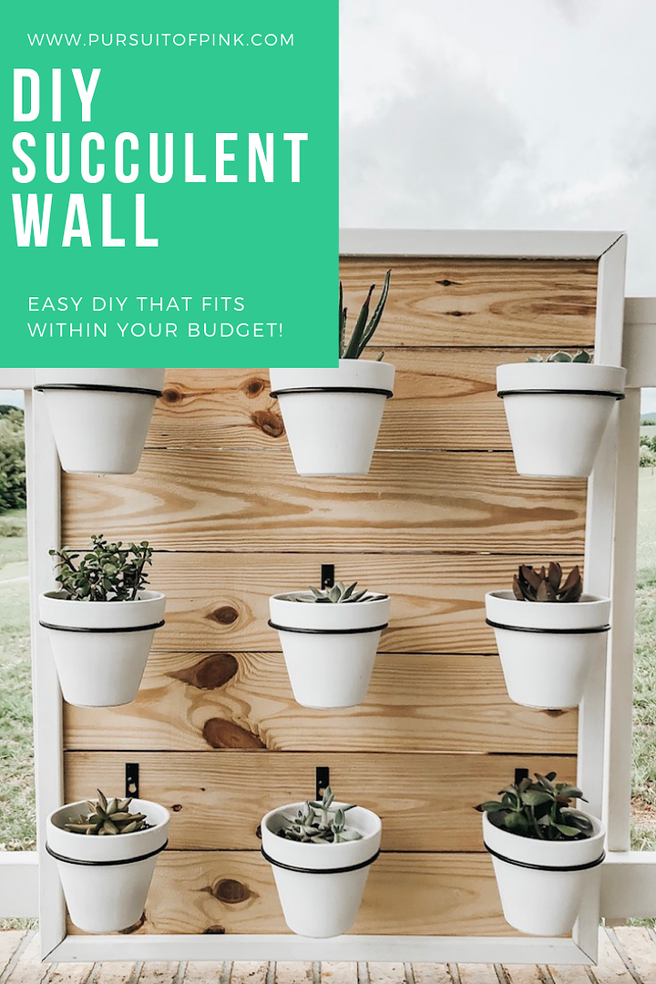 Budget Friendly DIY Succulent Wall